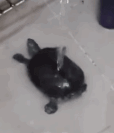 blog-1453966833.gif